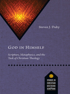 cover image of God in Himself: Scripture, Metaphysics, and the Task of Christian Theology